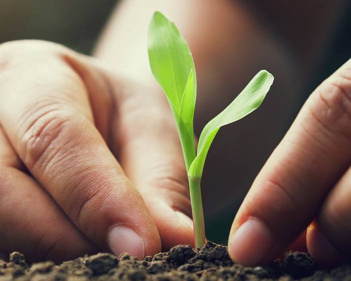 Good manners in the field