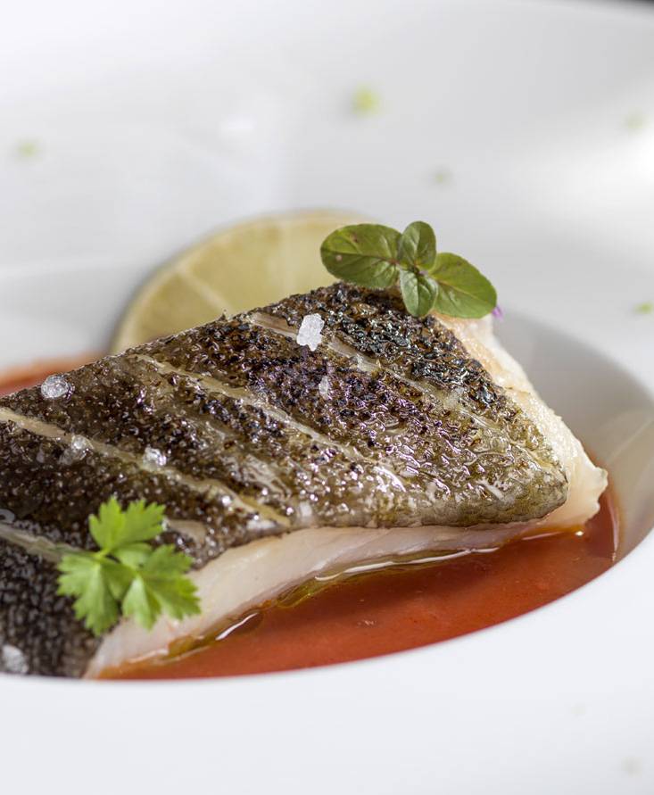 DRIED CODFISH WITH CRUNCHY SKIN ON TOMATO SAUCE LAYER