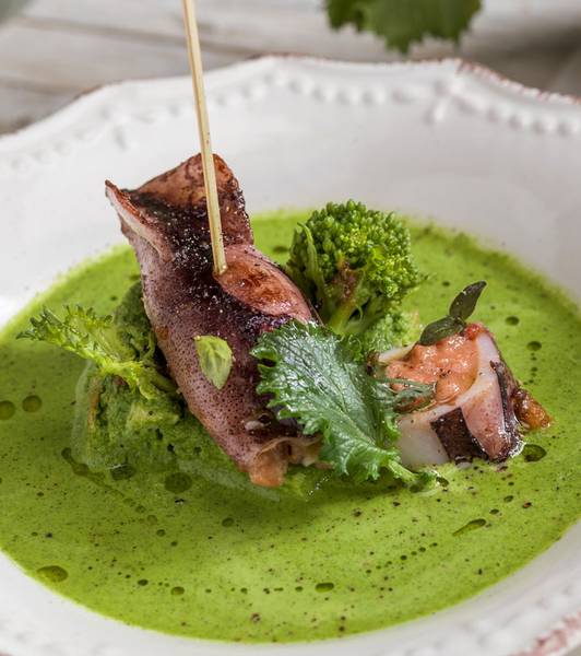 STUFFED SQUIDS WITH TOMATO SAUCE ON CREAM OF TURNIP GREENS