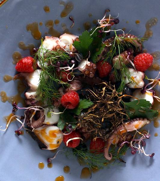 Warm Octopus salad with leaves and wild berries in Tomato Emulsion