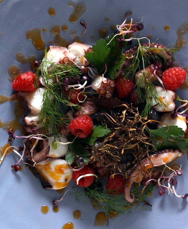 Warm Octopus salad with leaves and wild berries in Tomato Emulsion